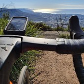 User avatar for Jaqui Harkness