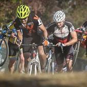 User avatar for Andrew Yee