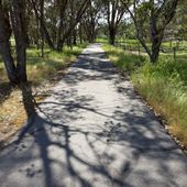 User avatar for Todd Marion