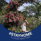 User avatar for Annamarie Murphy