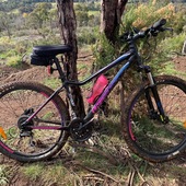 User avatar for Nicole Mahara