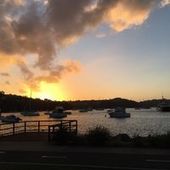 User avatar for Nick Lam