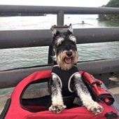 User avatar for Ebony Coleman