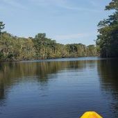 User avatar for Patty Gullick