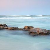 User avatar for Javeria Ali