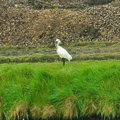 User avatar for Ria S