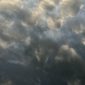 User avatar for Morrie Pauline