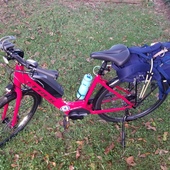 User avatar for Michael Brackett