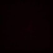 User avatar for Miles Hayler