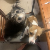 User avatar for Allan Toose