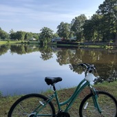 User avatar for catherine lawson