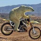 User avatar for Diana Gu