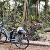 User avatar for Cristina Padina