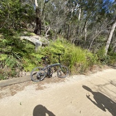 User avatar for Lindawaty Hardyanto