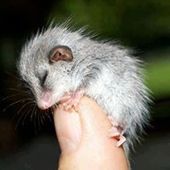 User avatar for Chris Townsend