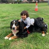 User avatar for Patrick Ross