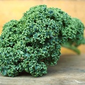 User avatar for Kale Hardie-Porter