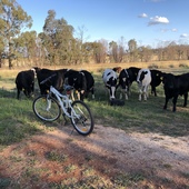 User avatar for Marilyn Harvy