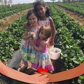 User avatar for Lily Scivicque