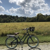 User avatar for Kelly Olson