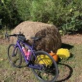 User avatar for Dana Heyl