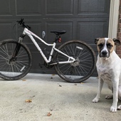 User avatar for Lauren Wagner