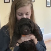 User avatar for Allison Z