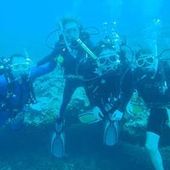 User avatar for Arwen Sutton