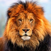 User avatar for Scott Keel