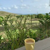 User avatar for Sean Faust