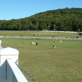 User avatar for E Kulberg