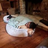 User avatar for Lisa Pearce