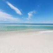 User avatar for Jw Purcell