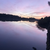 User avatar for William Rowland