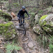 User avatar for Jesse Palmer