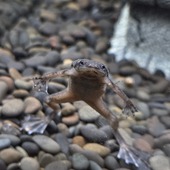 User avatar for BiBi Bartlett