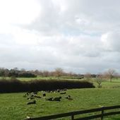 User avatar for Ash Hows