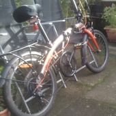 User avatar for Alison Lilley