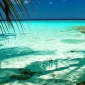 User avatar for Petrina Petrina