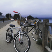 User avatar for Ace Fernandez