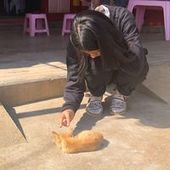 User avatar for Nancy Chi