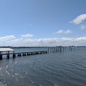 User avatar for Theresa Healey