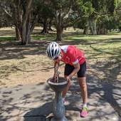 User avatar for Paula Korczynska