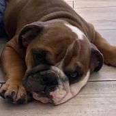 User avatar for Candice Minerof