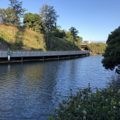 User avatar for Rachel Jones