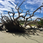 User avatar for James Hunter