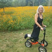 User avatar for Liz Schultz