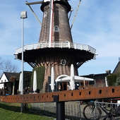 User avatar for Wim S