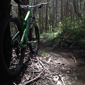 User avatar for Michael Smith