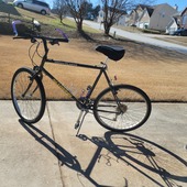 User avatar for DollyA Johnson